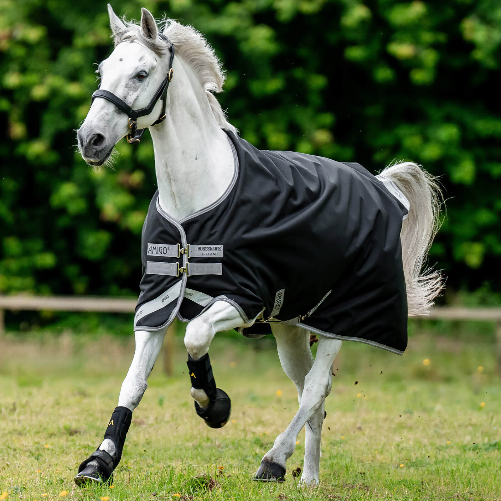 Outdoordecke 50g Amigo Bravo 12 Turn Out Weidedecke