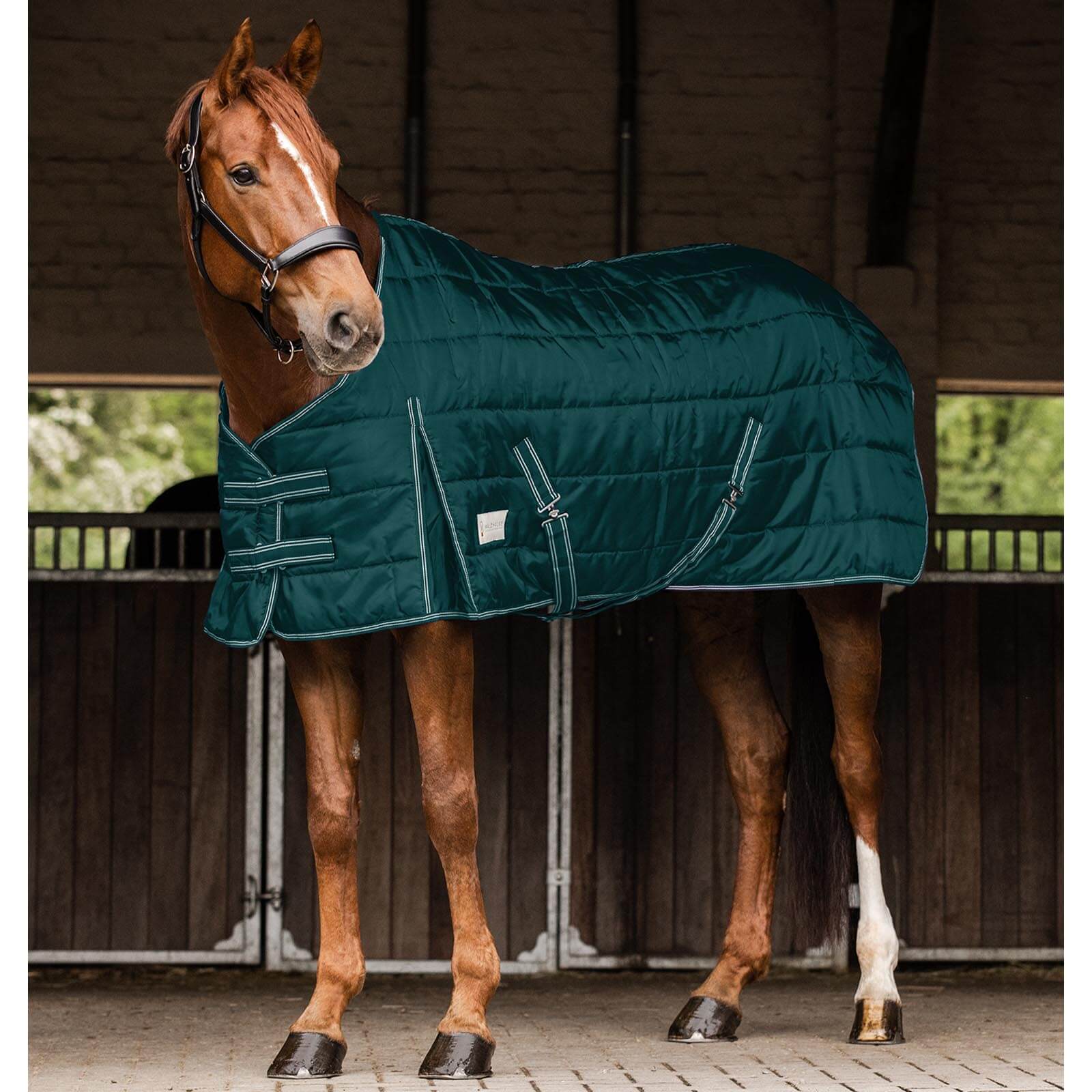 Stalldecke 100g Economic