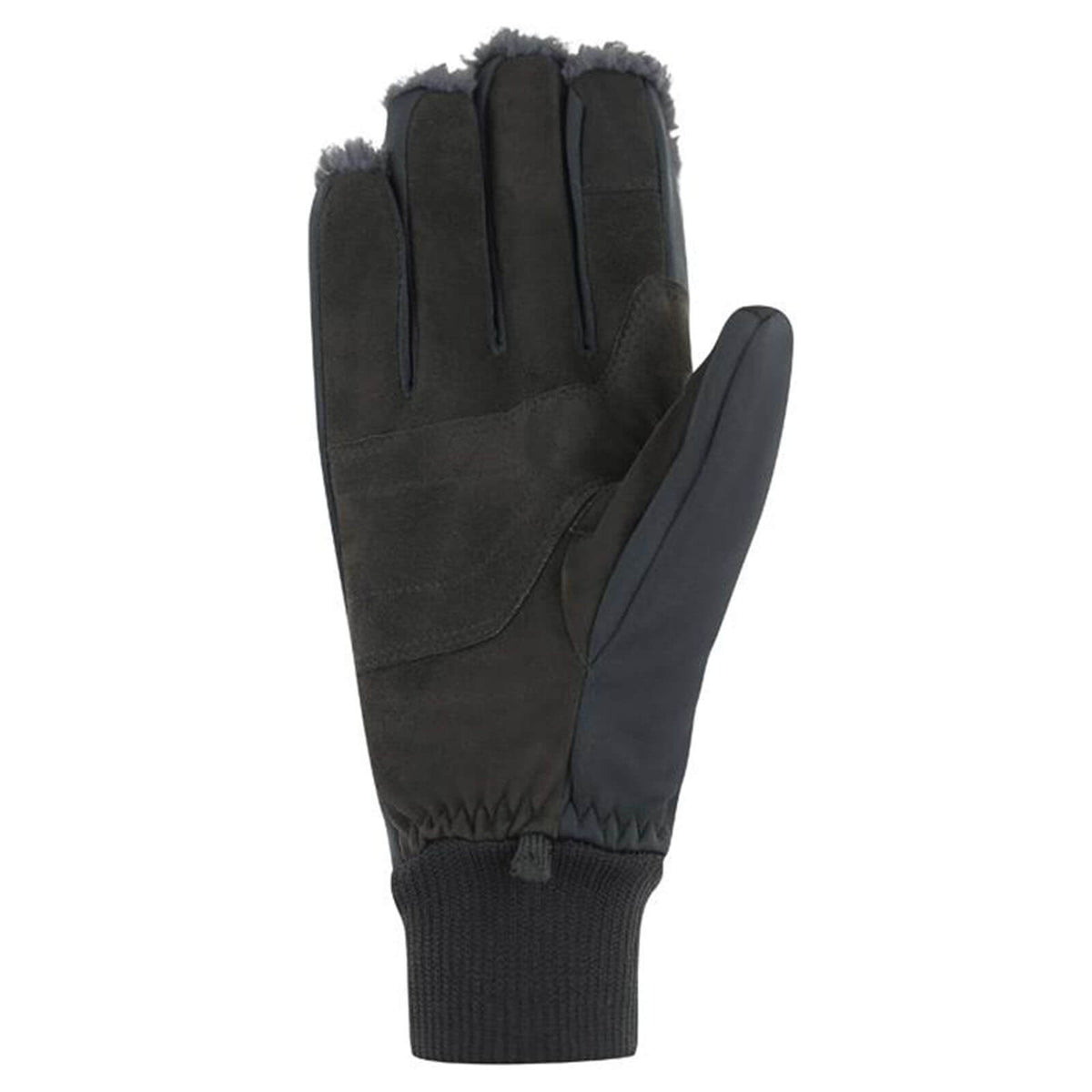 Roeckl Winterreithandschuh Unisex Dog-Walker Neuberg Winter Stallhandschuh, Schwarz, Produkt allein auf weißem Hintergrund.