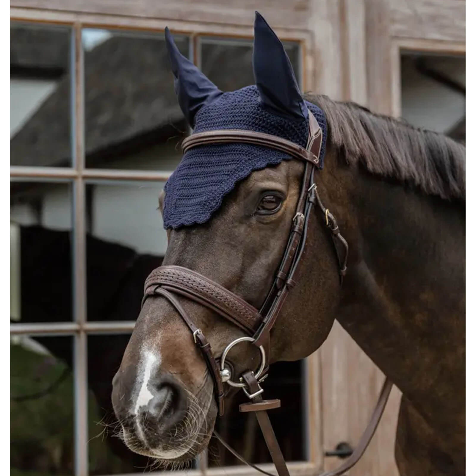 Fliegenhaube Wellington Wave Fliegenhaube