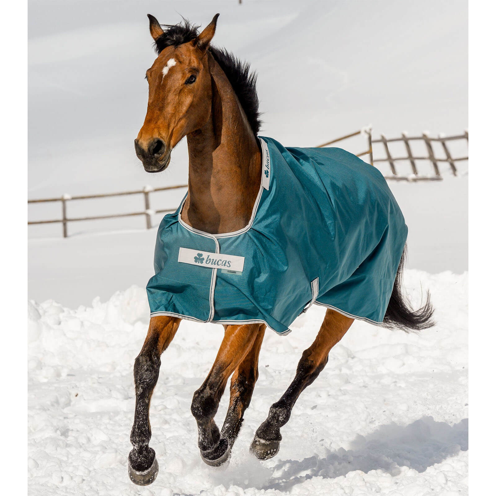 Outdoordecke 50g Atlantic Turnout Weidedecke
