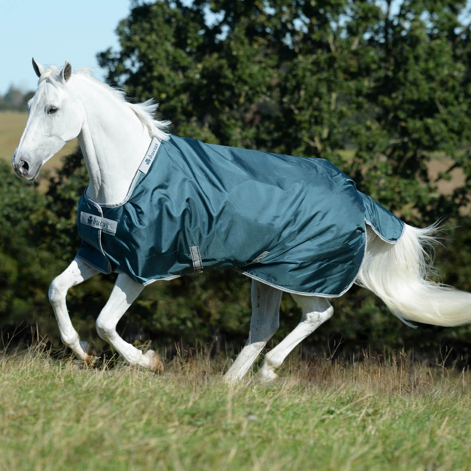 Outdoordecke 50g Atlantic Turnout Weidedecke