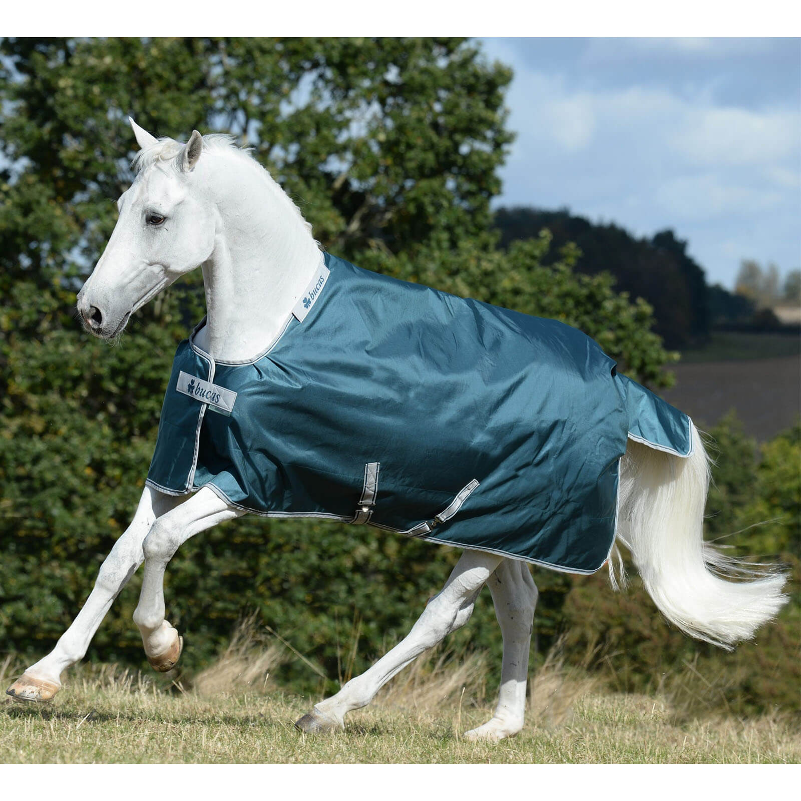 Outdoordecke 50g Atlantic Turnout Weidedecke
