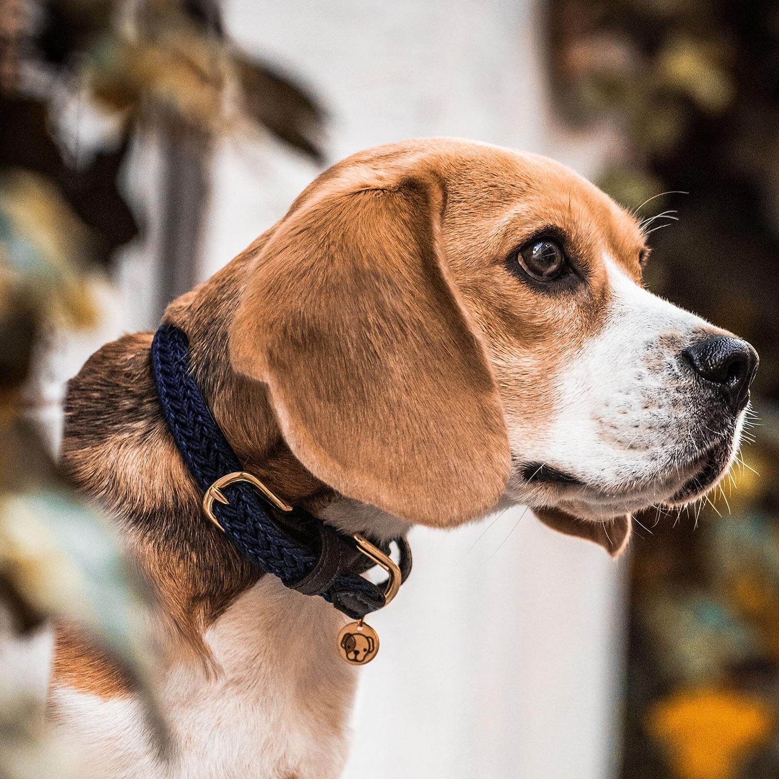 Hundehalsband Geflochten Nylon