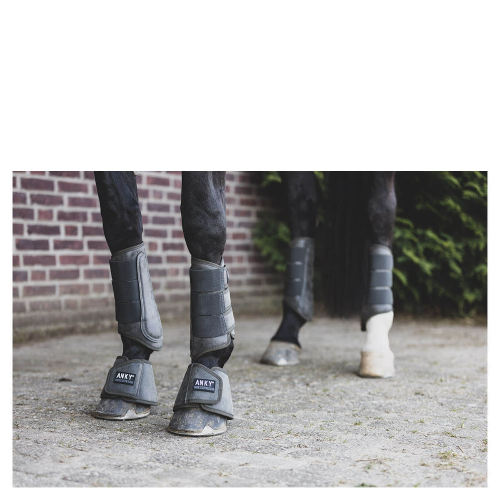 Gamaschen Proficient Boot ATB1002 Beinschutz