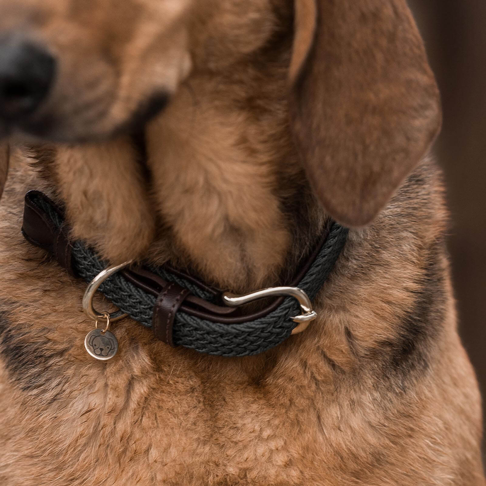 Hundehalsband Geflochten Nylon