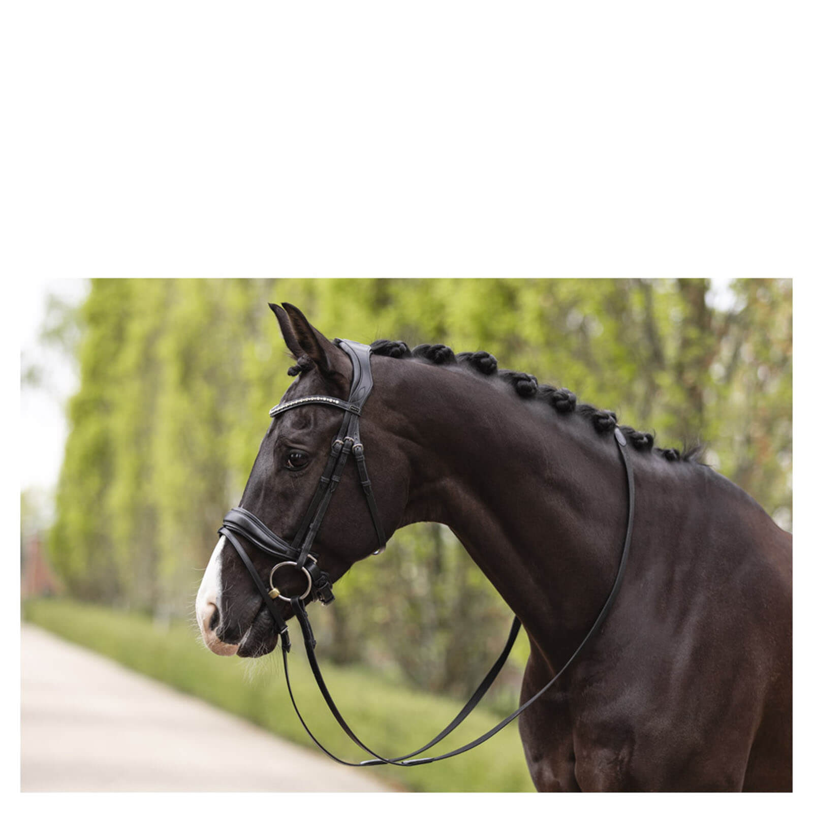Trense ATH19003 Comfort Line Trensenzaum