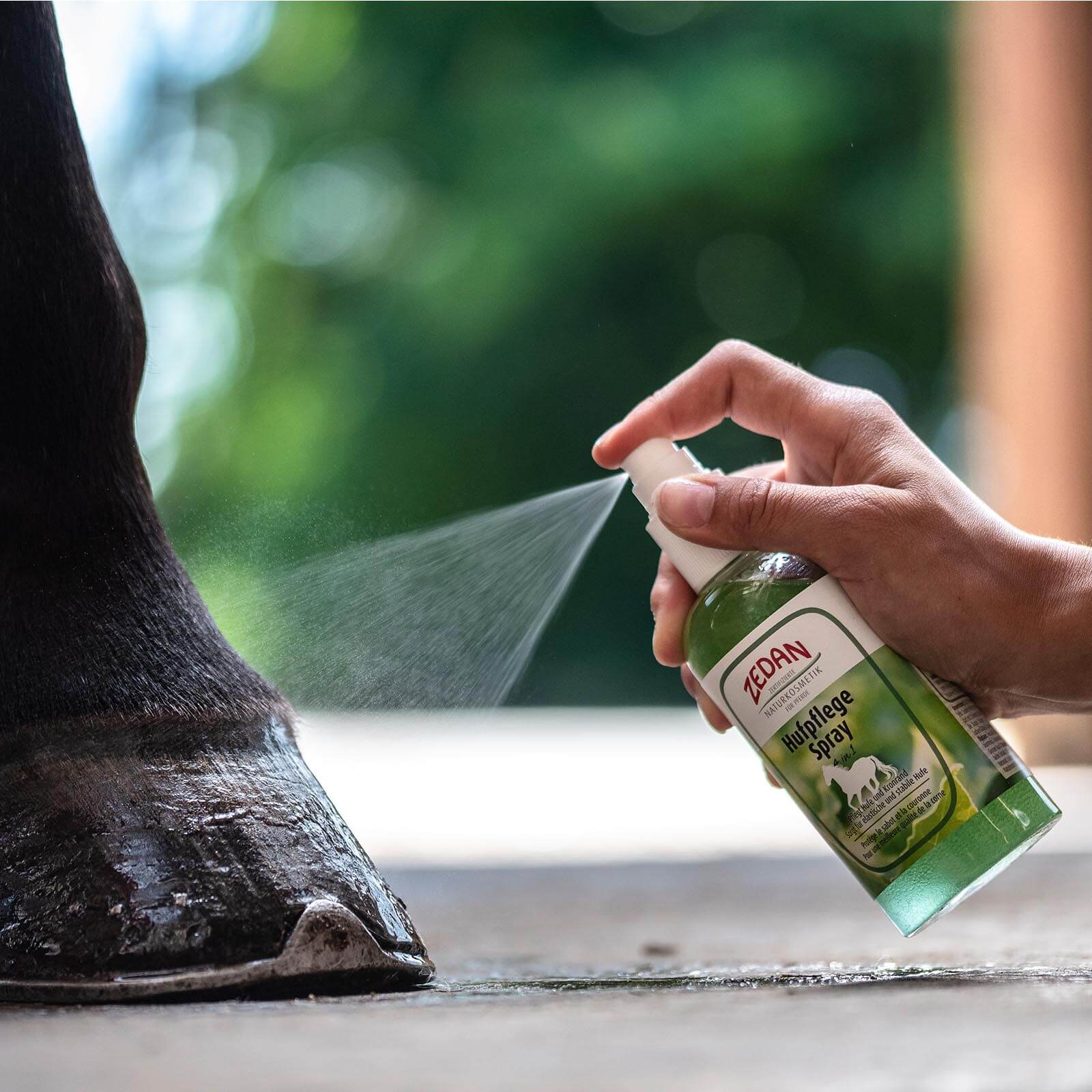 Hufpflege Spray - 4 in 1
