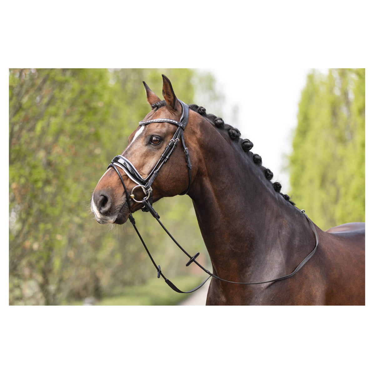 ANKY Trense ATH19002 Comfort Fit Trensenzaum, Schwarz, am Pferdekopf getragen.