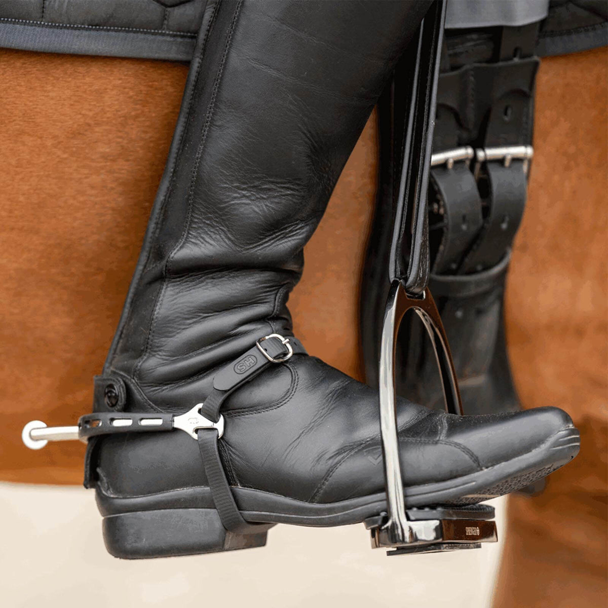 Sporen Ultra Fit Extra Grip 40 mm abgerundet mit kleinem Ballrad, Schwarz, am Reitstiefel getragen.
