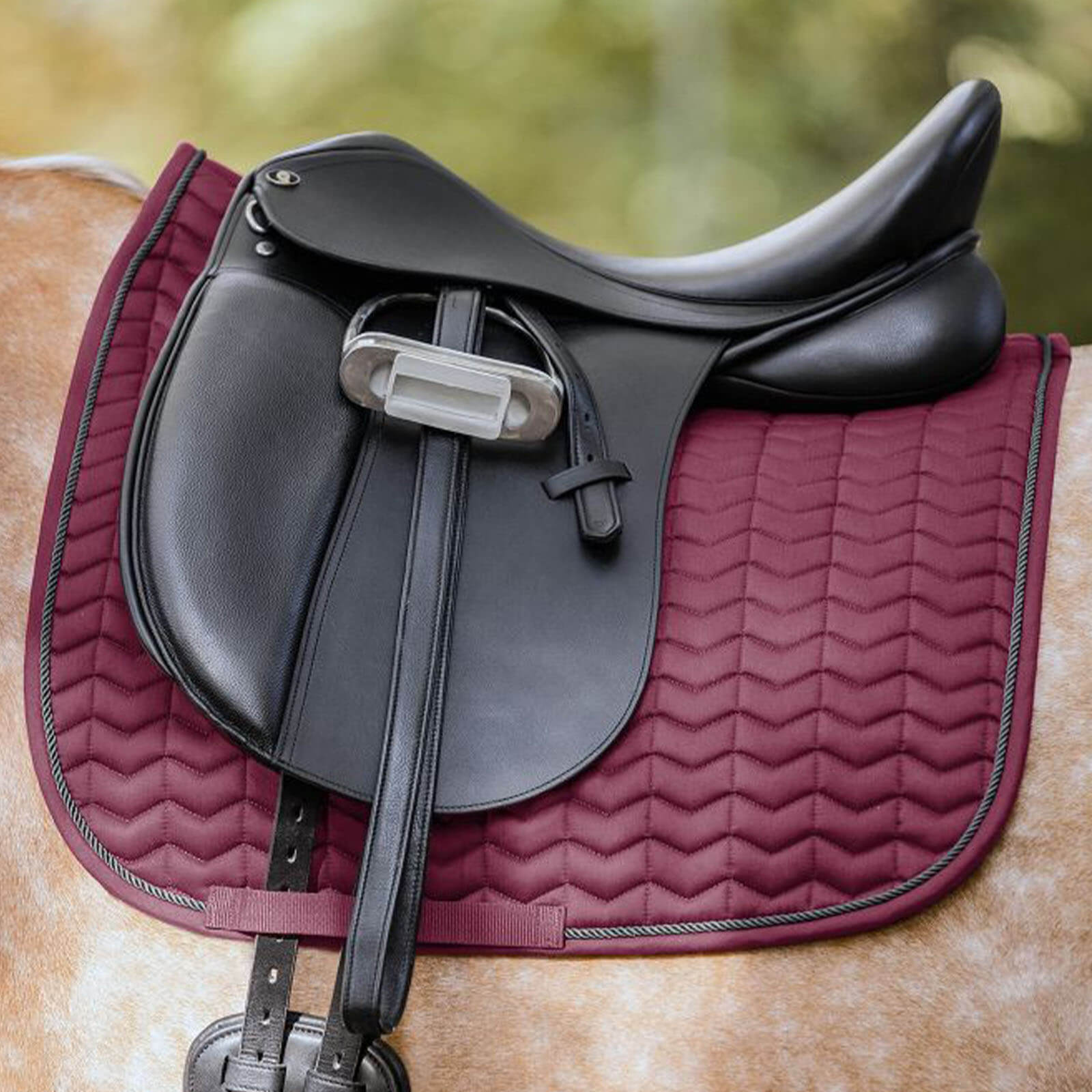Schabracke Dressur Classic