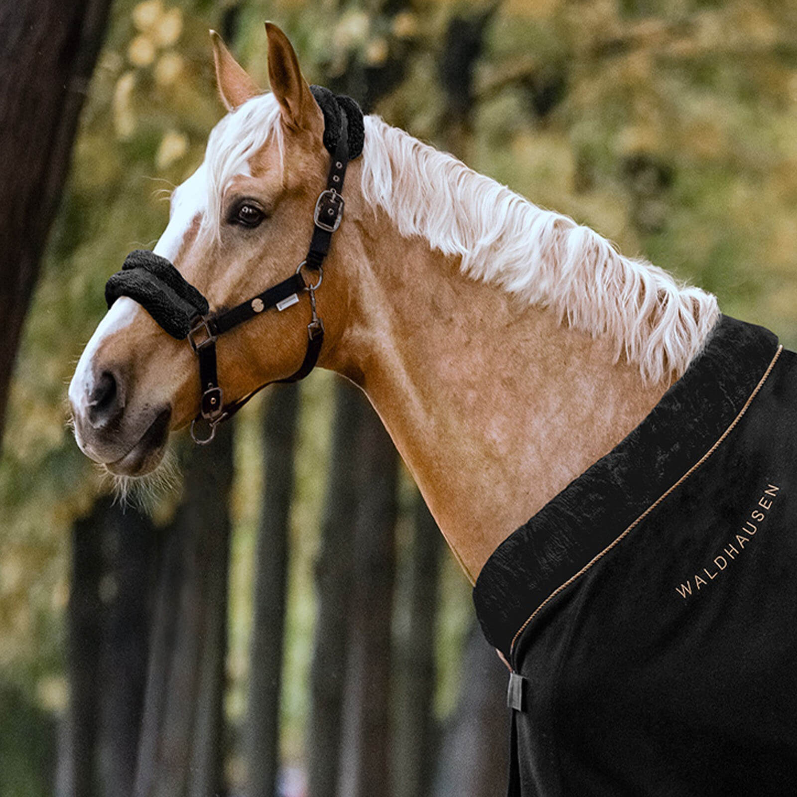 Halfter Modern Rosé Stallhalfter