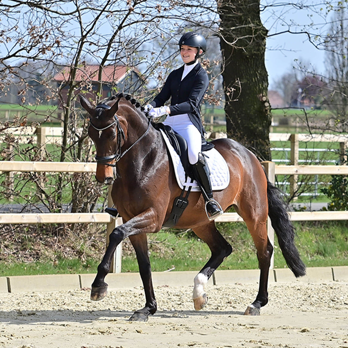 Turnier-Sakko Almeria Reitsakko, Schwarz, Reiterin auf braunem Pferd im Freien.