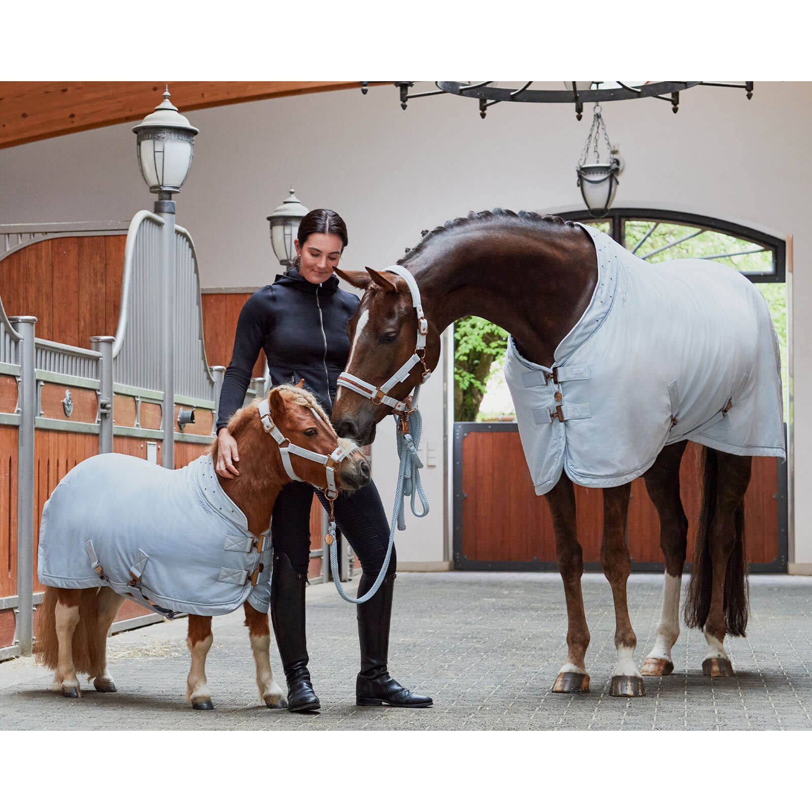Abschwitzdecke Velvet Crystal Platinum 2023 Sweat Rug