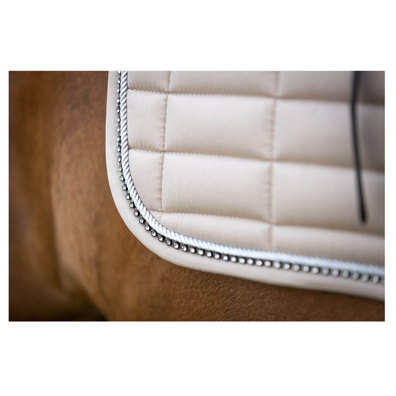 Schabracke Dressur Glamour Chic Dressurschabracke