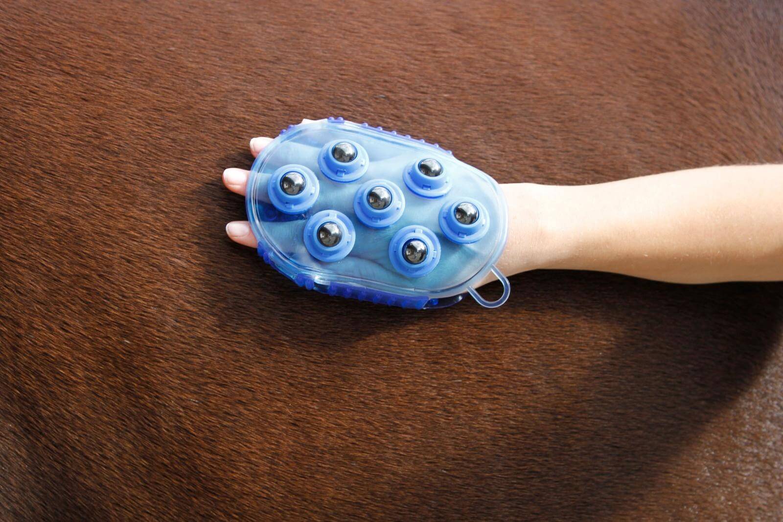 Magnet-Massagestriegel Putzbürste