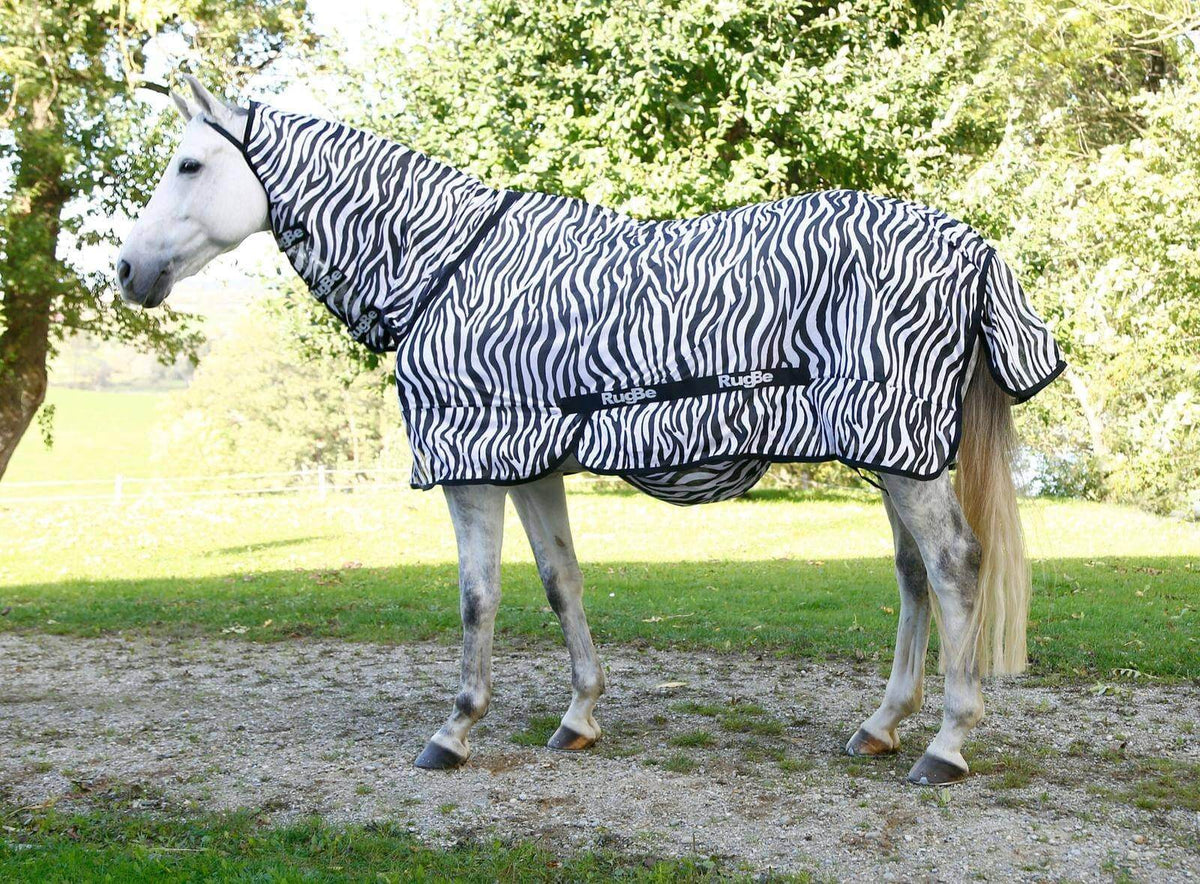 Fliegendecke RugBe Zebra mit Halsteil, mehrfarbige Zebra-Fliegendecke am Pferd im Freien.