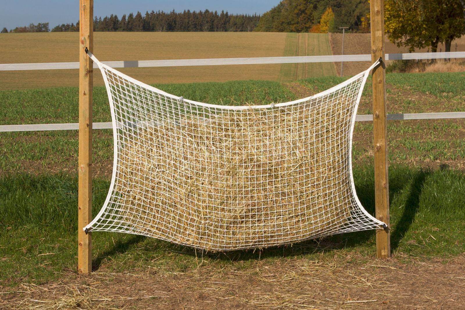 Heunetz