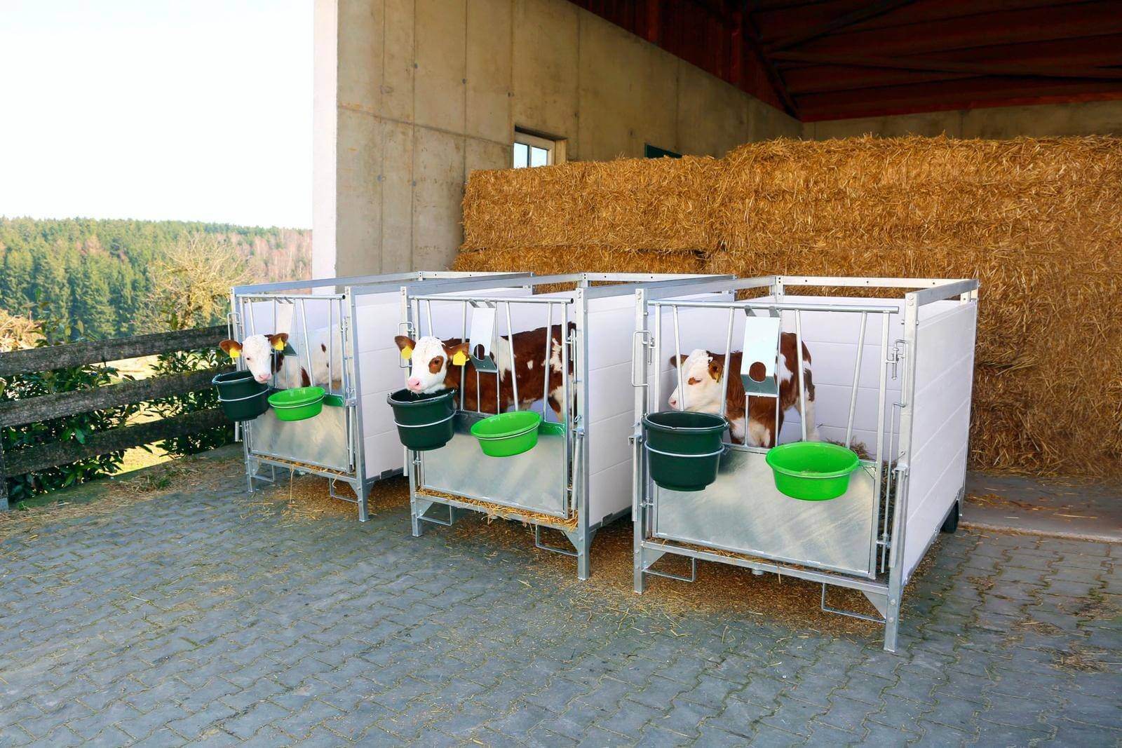 Stall- und Baueimer