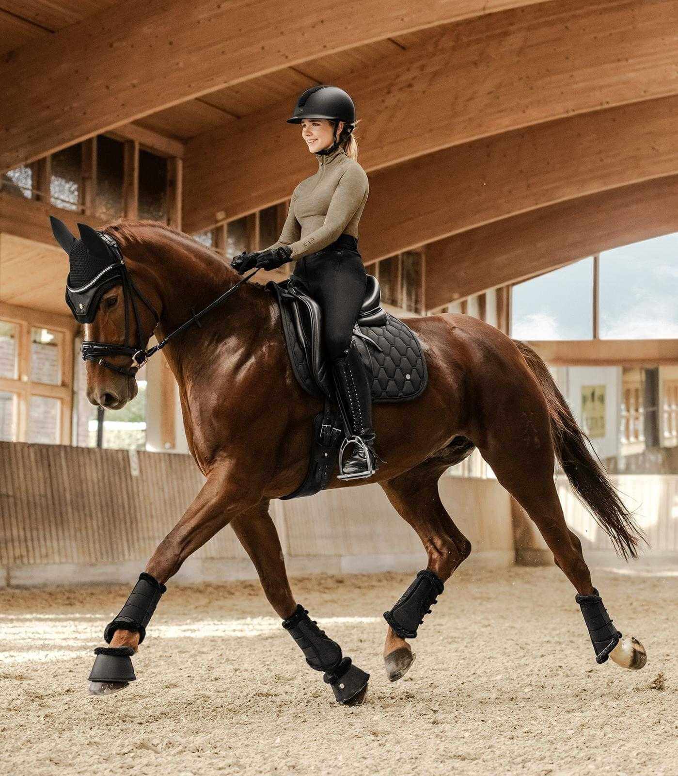 Fliegenohren Phoenix, schwarz, WB, Reiterin auf braunem Pferd in der Reithalle.