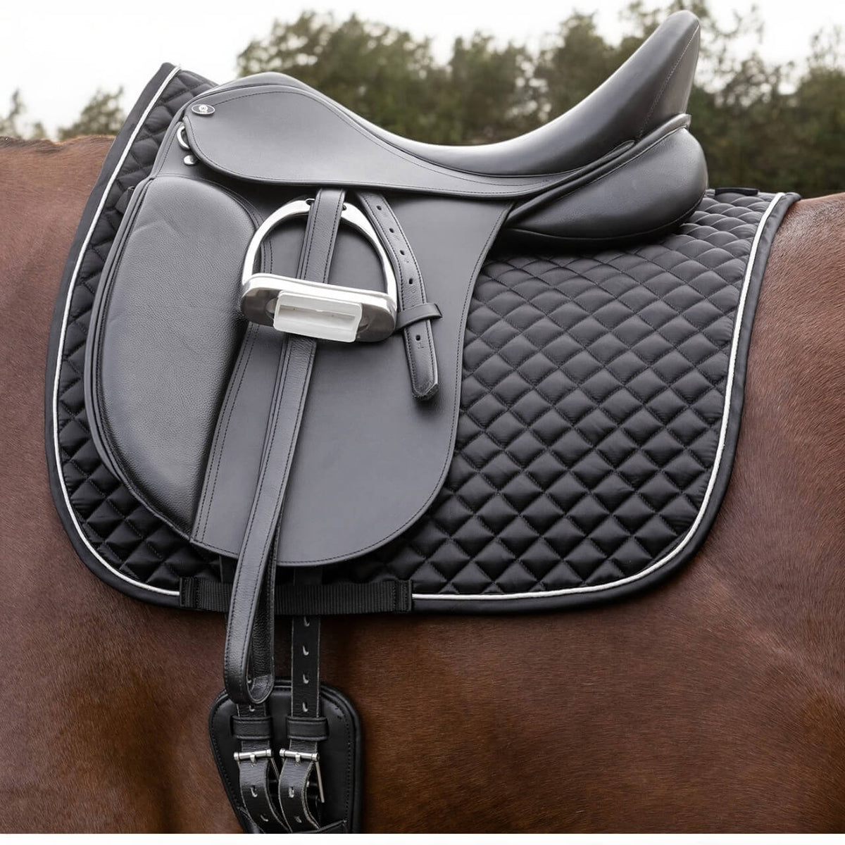 Schabracke Felix Glam Saddle Pad, Schwarz, auf einem Pferd unter dem Sattel.