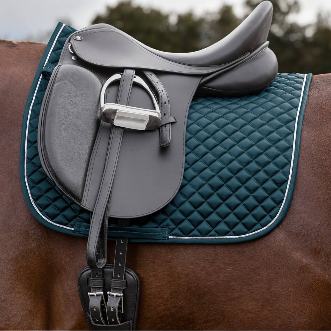 Schabracke Felix Glam Saddle Pad