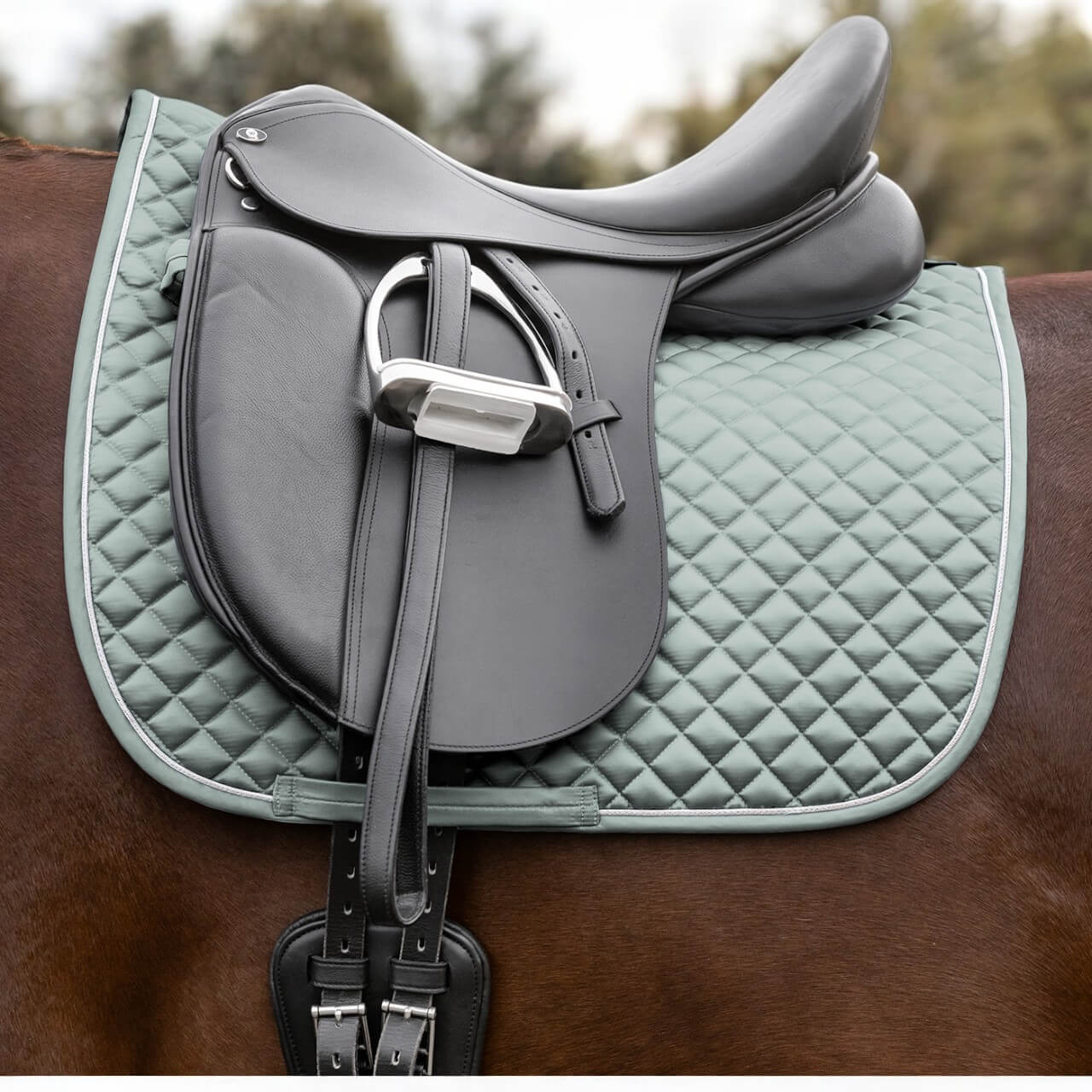 Schabracke Felix Glam Saddle Pad