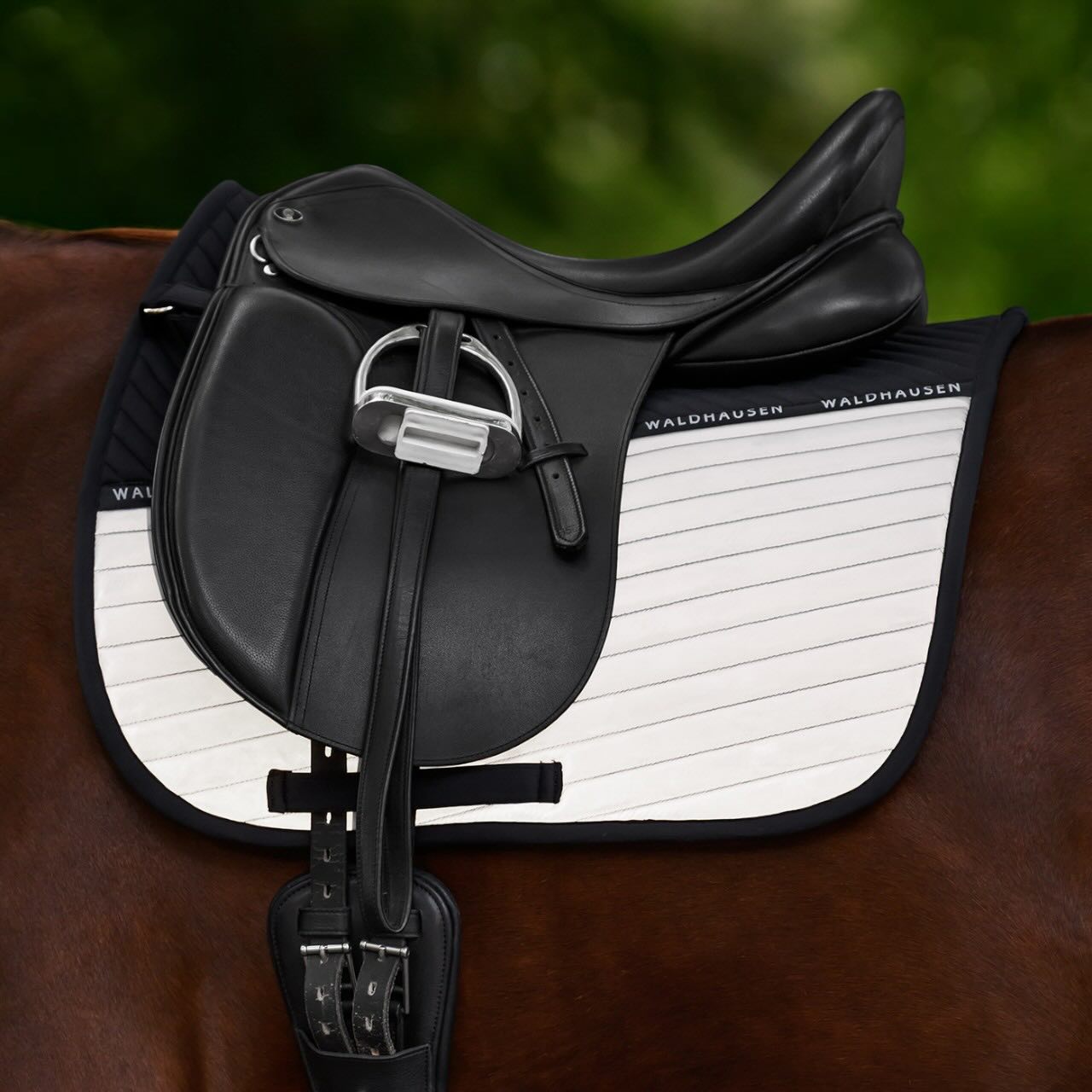 Dressurschabracke Reflex Reflektierende Schabracke