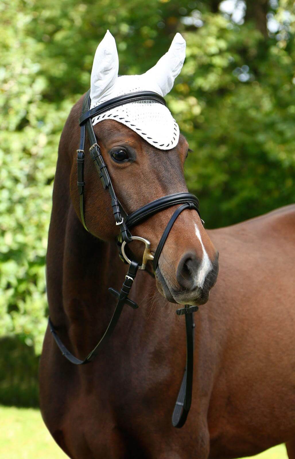 Fliegenmütze Classic Fliegenhaube