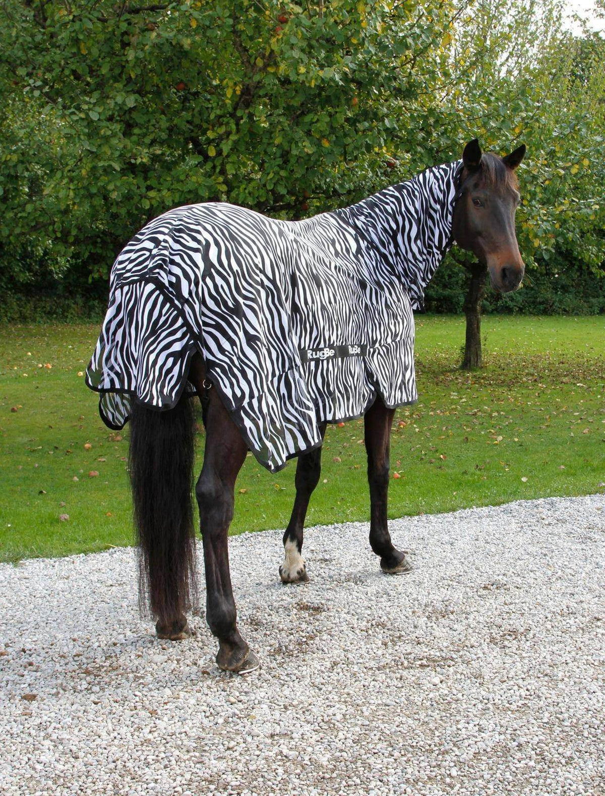 Fliegendecke RugBe Zebra mit Halsteil, Schwarz-Weiß, Pferd trägt die Decke auf der Weide.