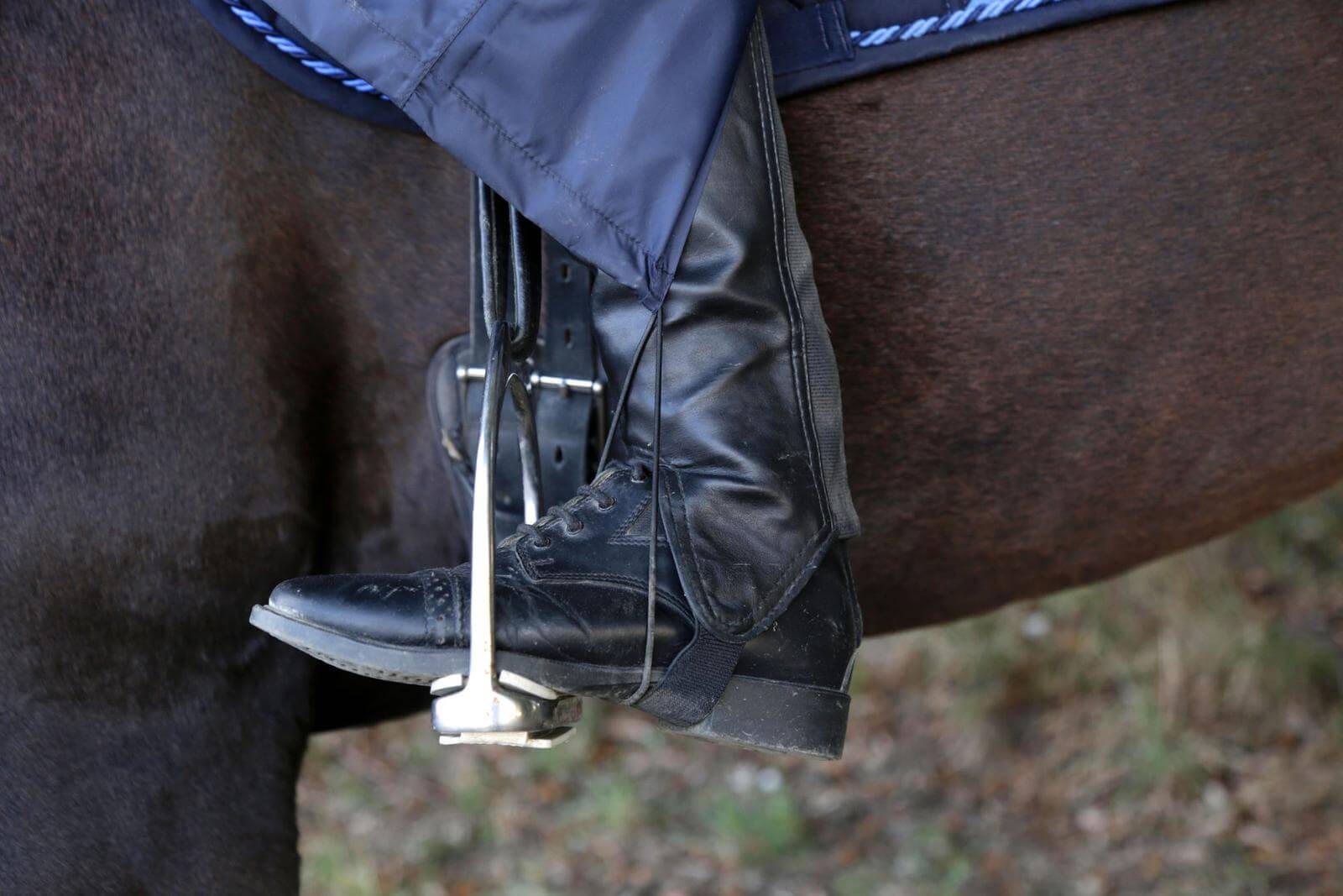 Regenponcho Damen Damenponcho
