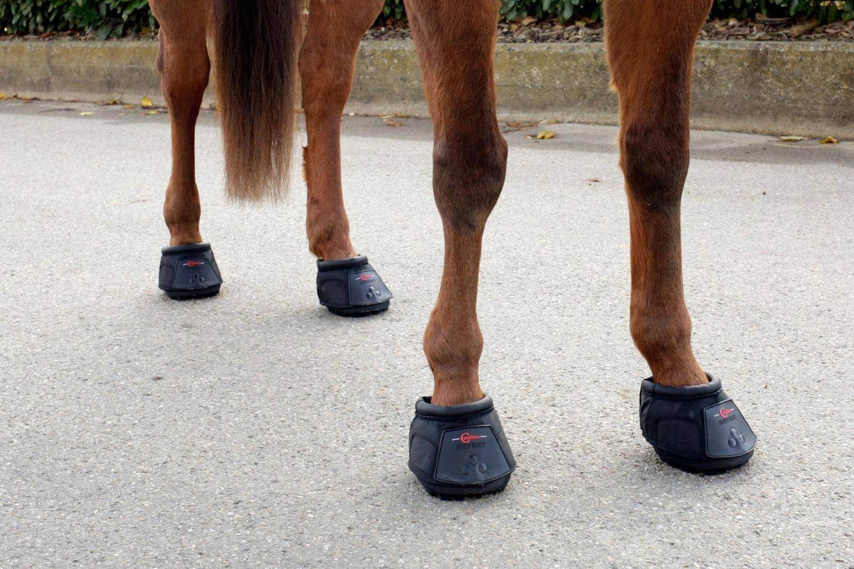 KERBL Hufschuh, Schwarz, an Pferdebeinen auf dem Weg.