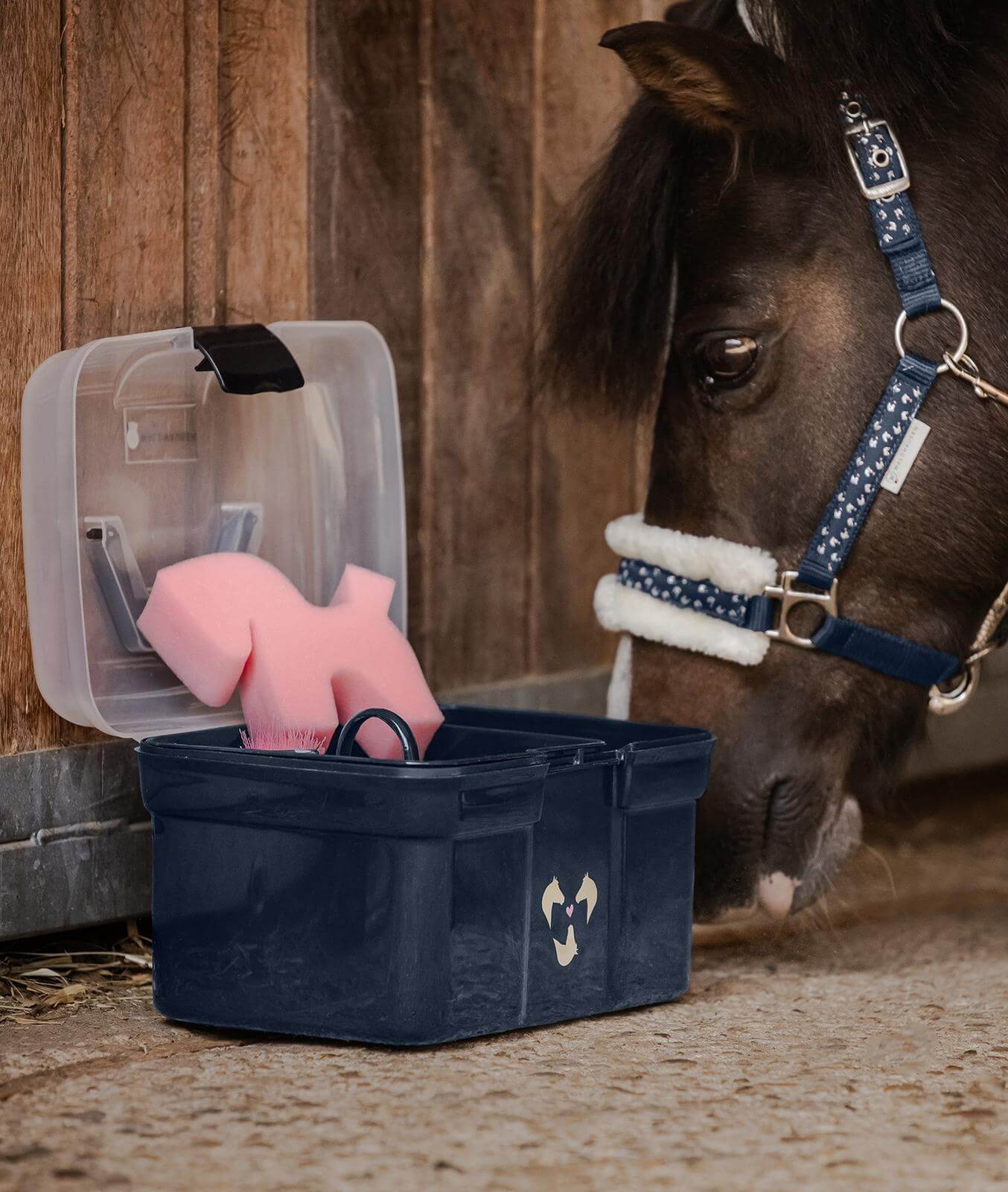 Waldhausen Putzköfferchen Lucky, nachtblau, Pony mit Halfter am Stall neben geöffnetem Koffer.