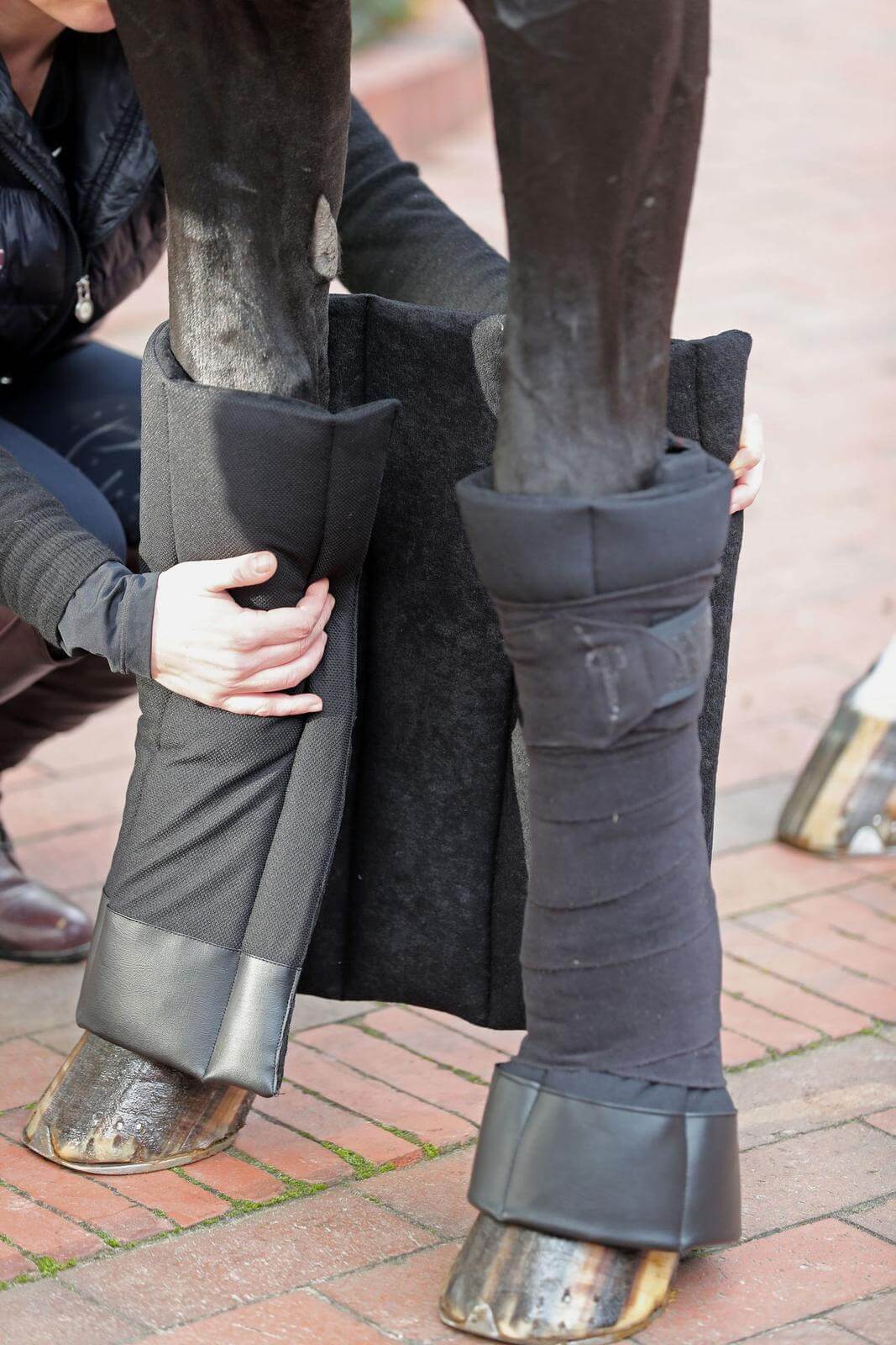 Covalliero Bandagierunterlagen Bandagier-Pads, Schwarz, an Pferdebeinen beim Anlegen.