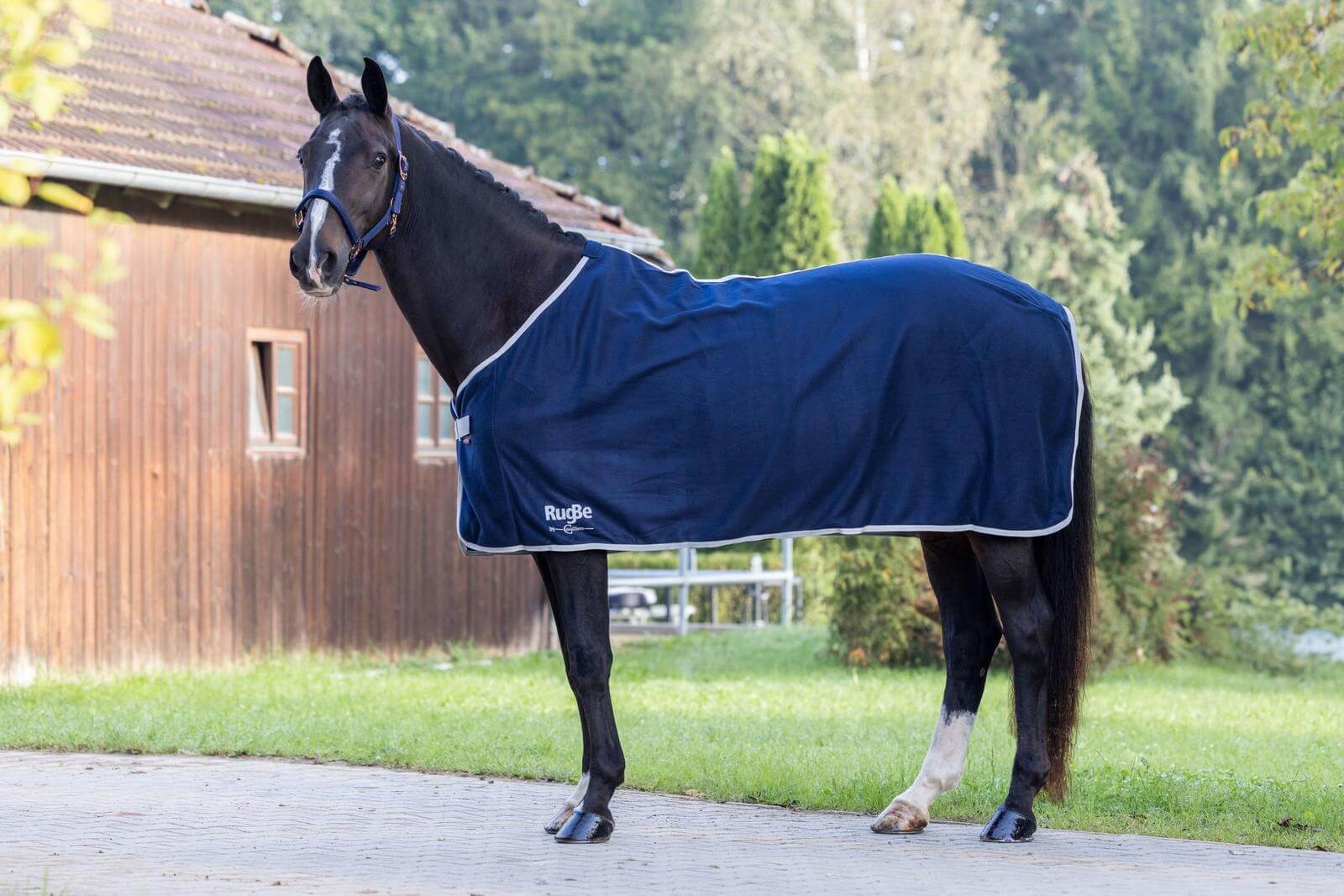 Abschwitzdecke RugBe Economic Fleecedecke