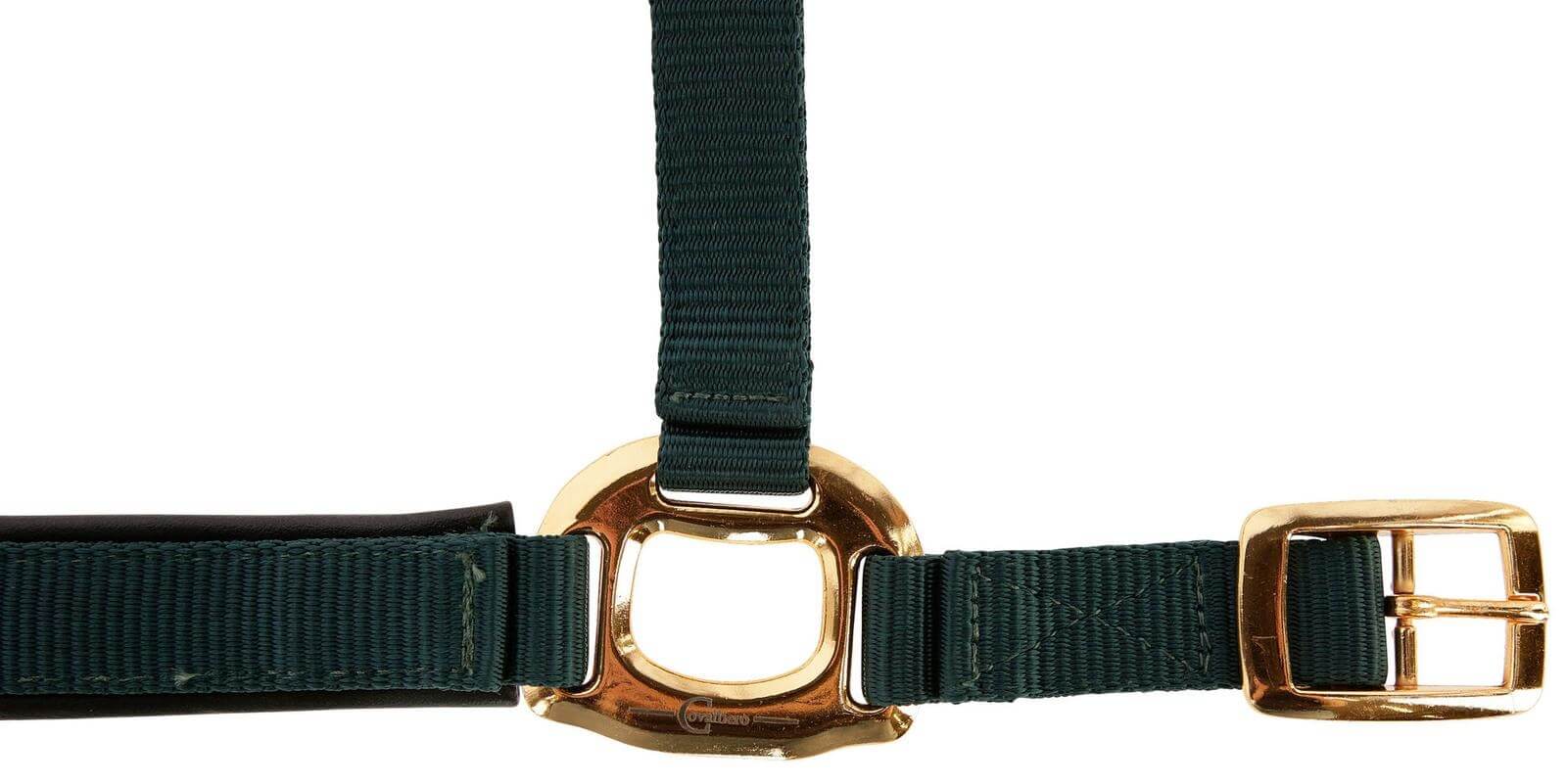 Halfter TopLine Nylonhalfter