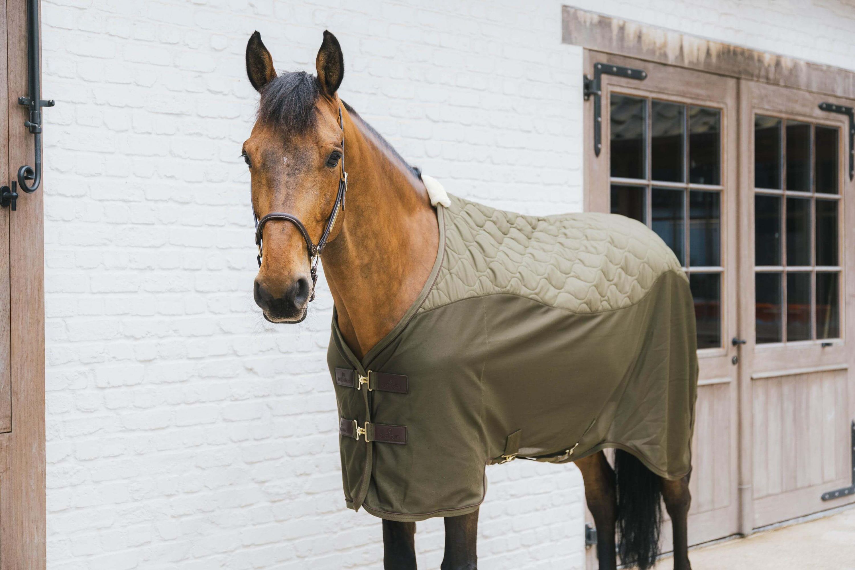 Transportdecke Abschwitzdecke Combo Cooler