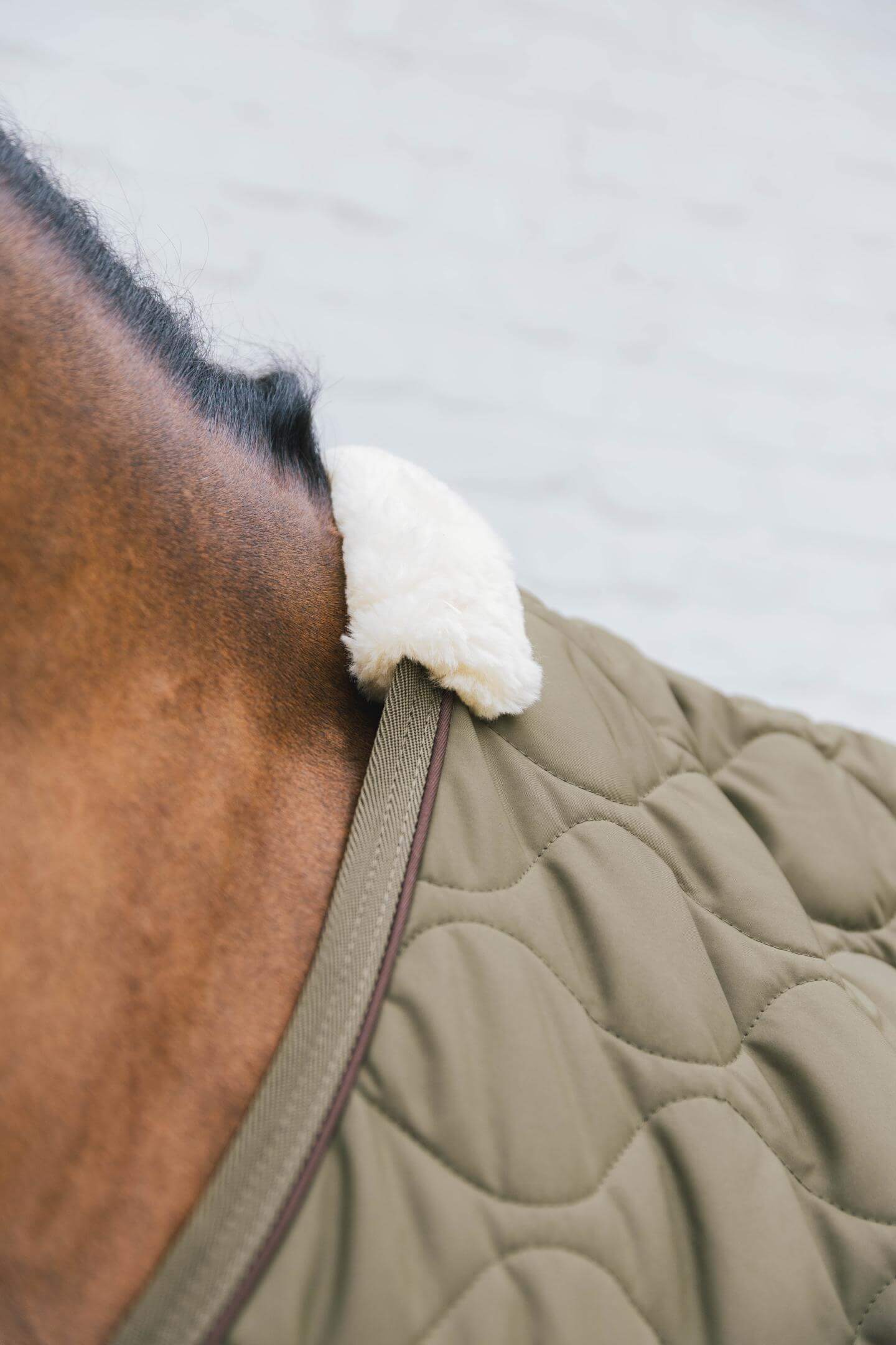 Transportdecke Abschwitzdecke Combo Cooler