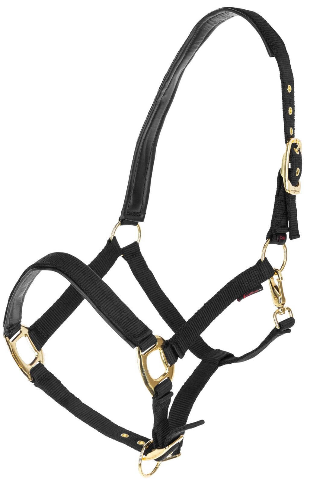 Halfter TopLine Nylonhalfter