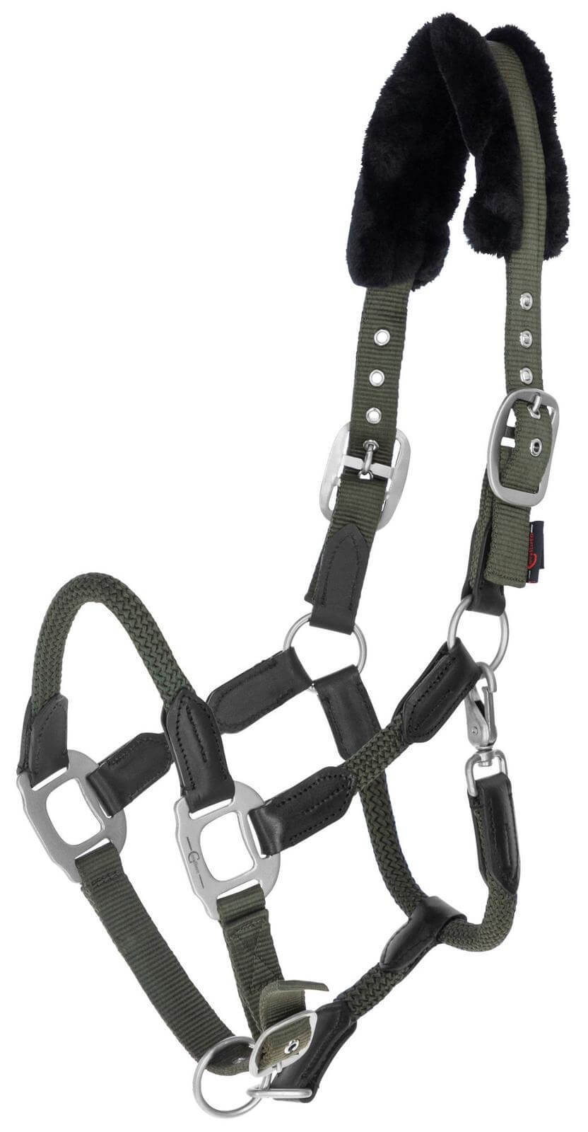 Covalliero Halfter Cordano Nylonhalfter, Oliv, Produkt allein auf weißem Hintergrund.