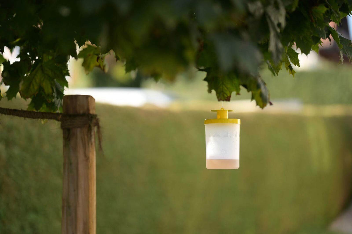 Fliegenfalle FlyCage3 Stallfliegenfalle