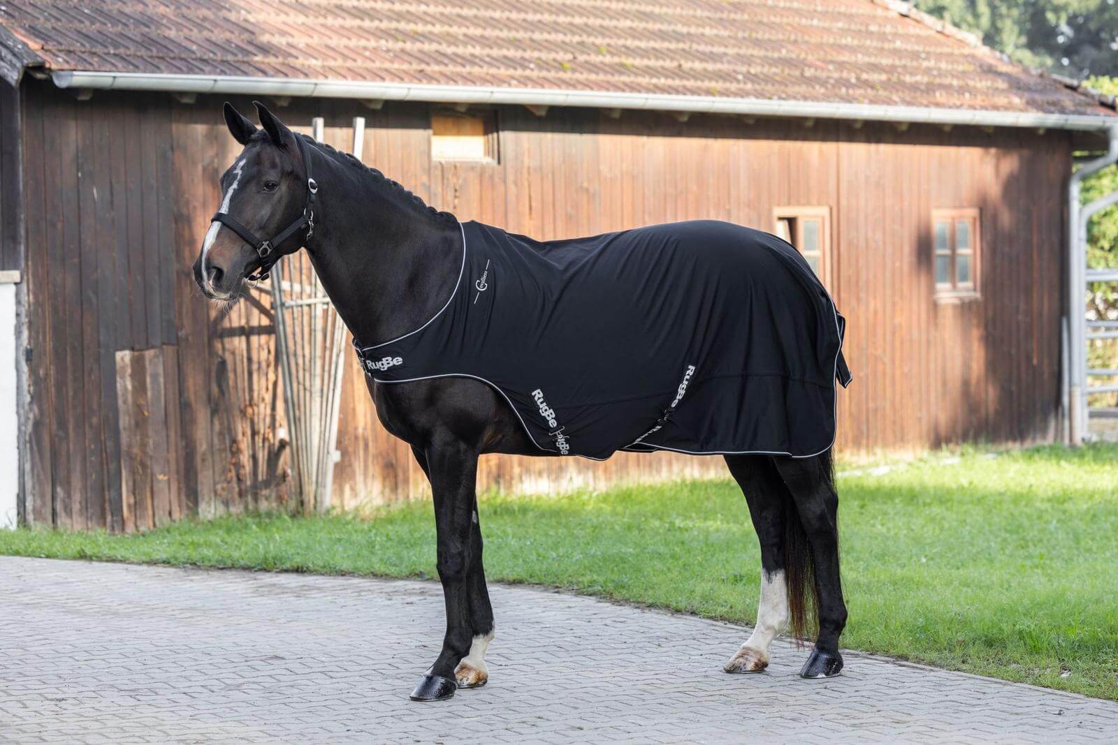 Führanlagen- und Spazierdecke RugBe