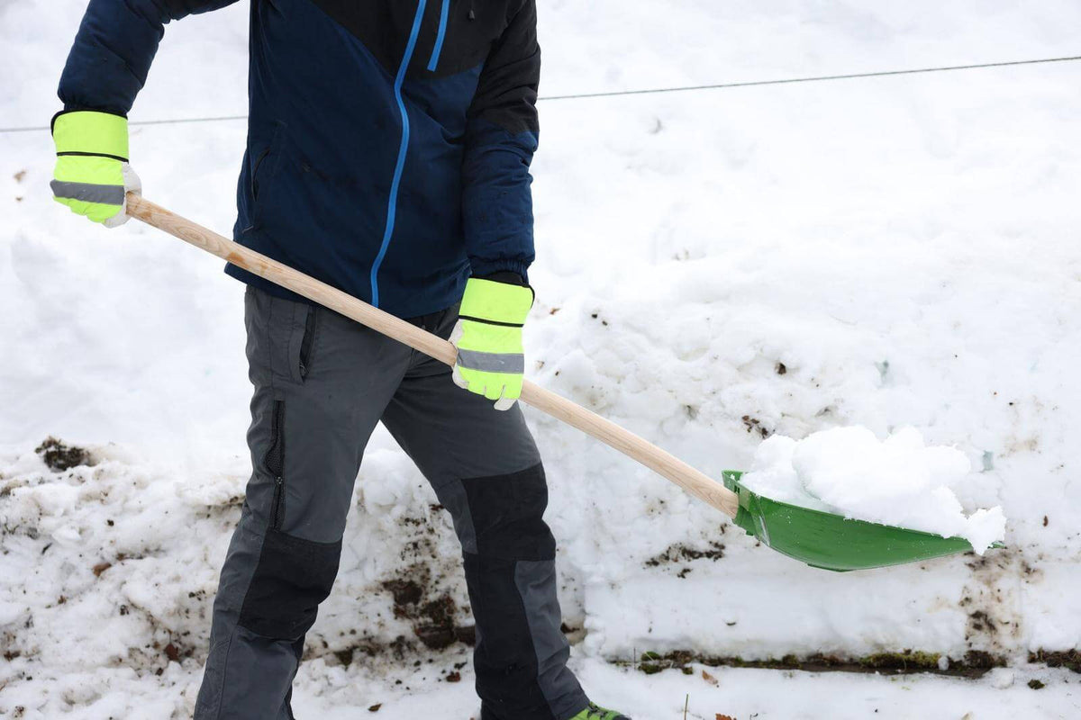 KERBL Schnee- und Getreideschaufel ohne Stiel, grün, Person beim Schaufeln im Schnee.