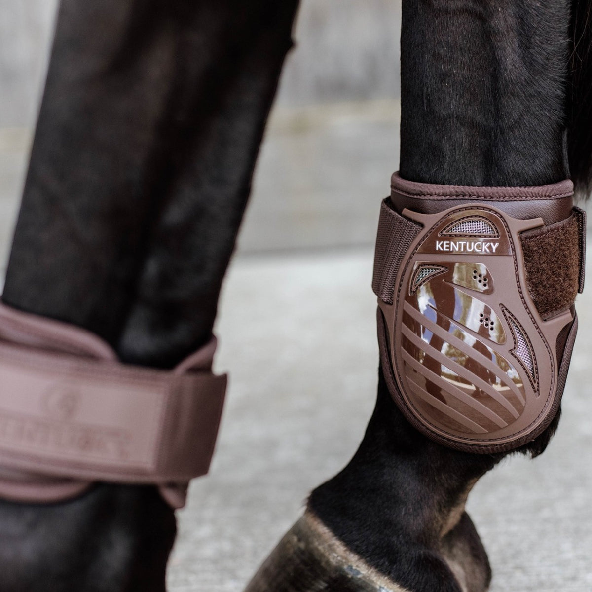 Strijkkappen voor jonge paarden Classic Fesselkopfgamaschen