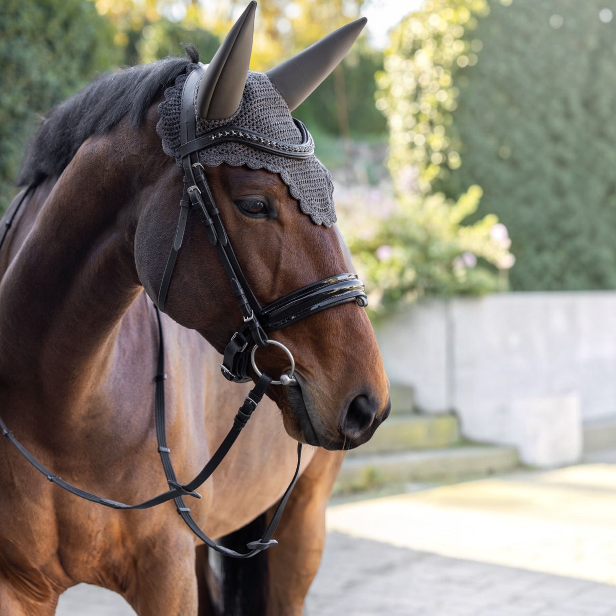 Covalliero Fliegenhaube soundless H/W 2026