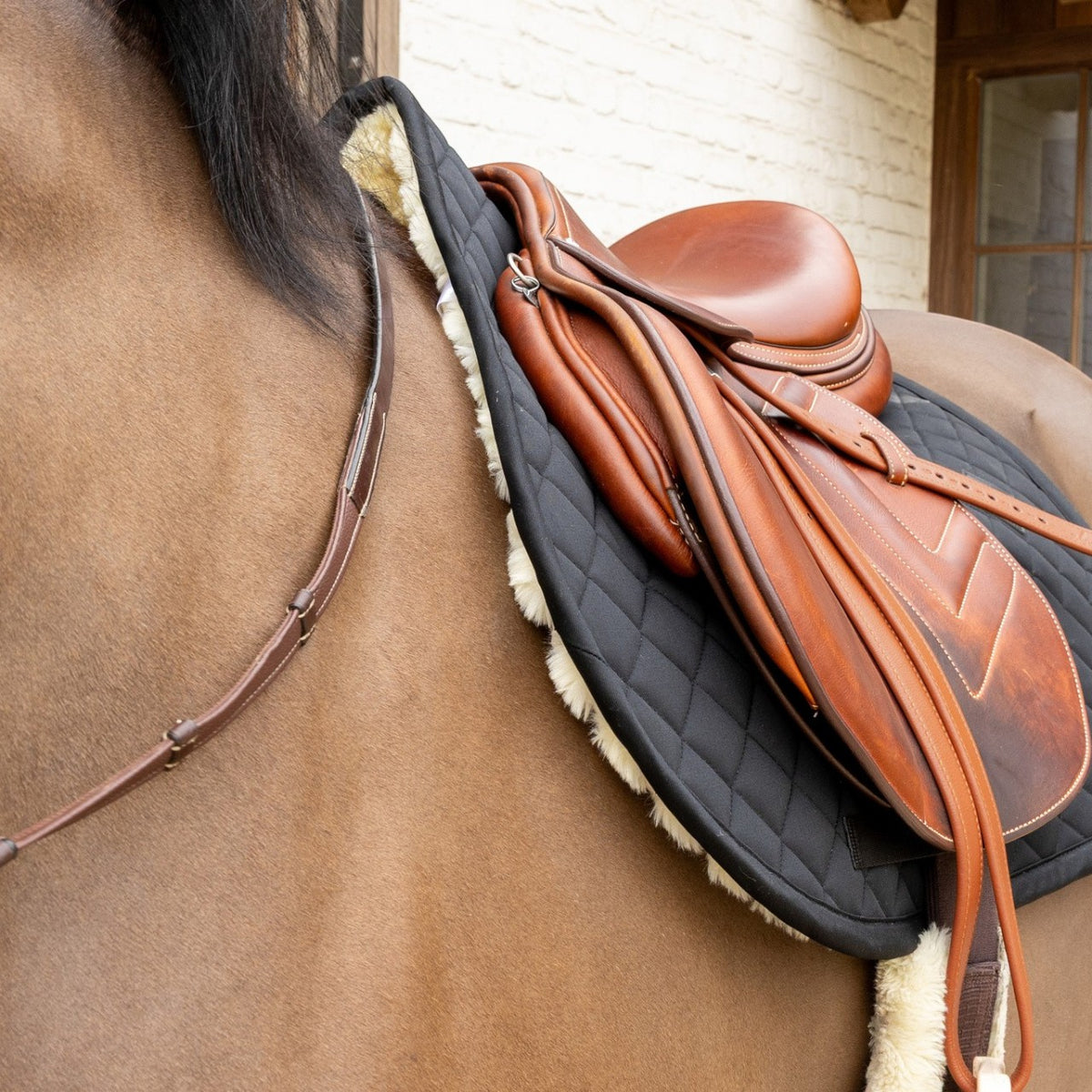 Steigbügelriemen Premium Soft Leather Lederriemen