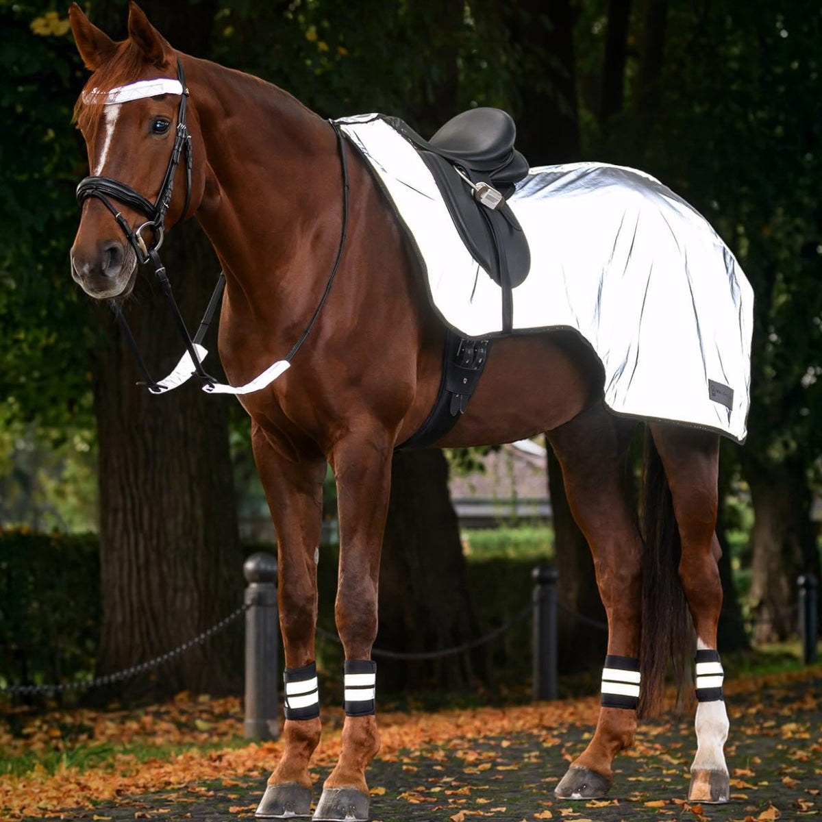 Bandagen Reflex 4er Set mit Reflektierenden Streifen