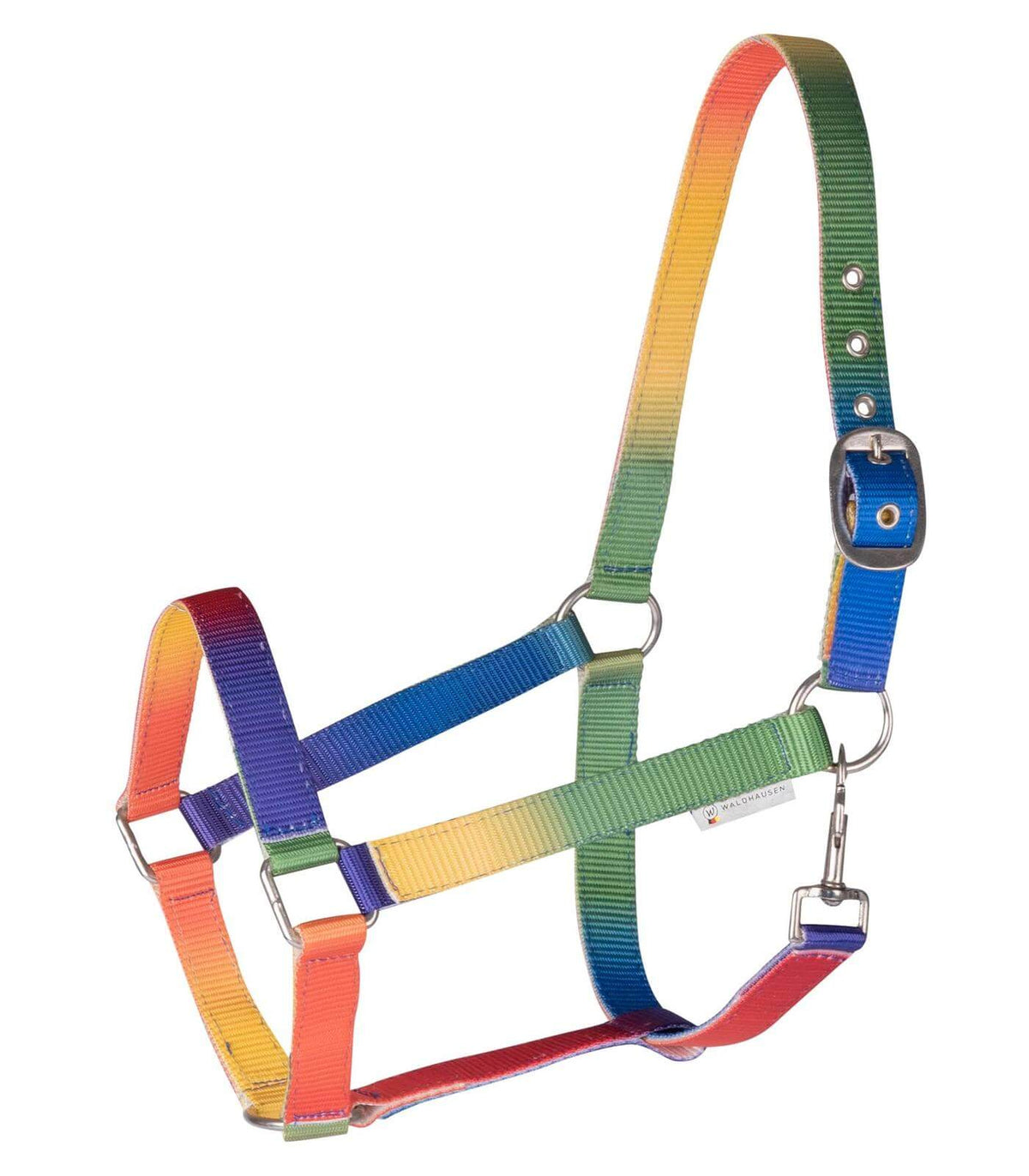 Halfter Regenbogen, Neon Multicolor, Produkt allein auf weißem Hintergrund.