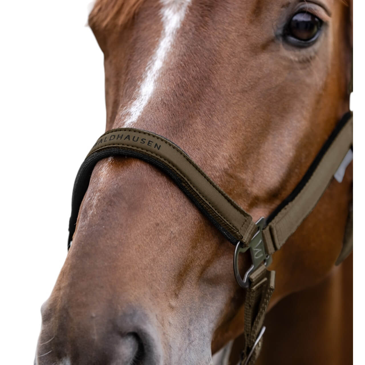 Halfter Athletic Nylonhalfter
