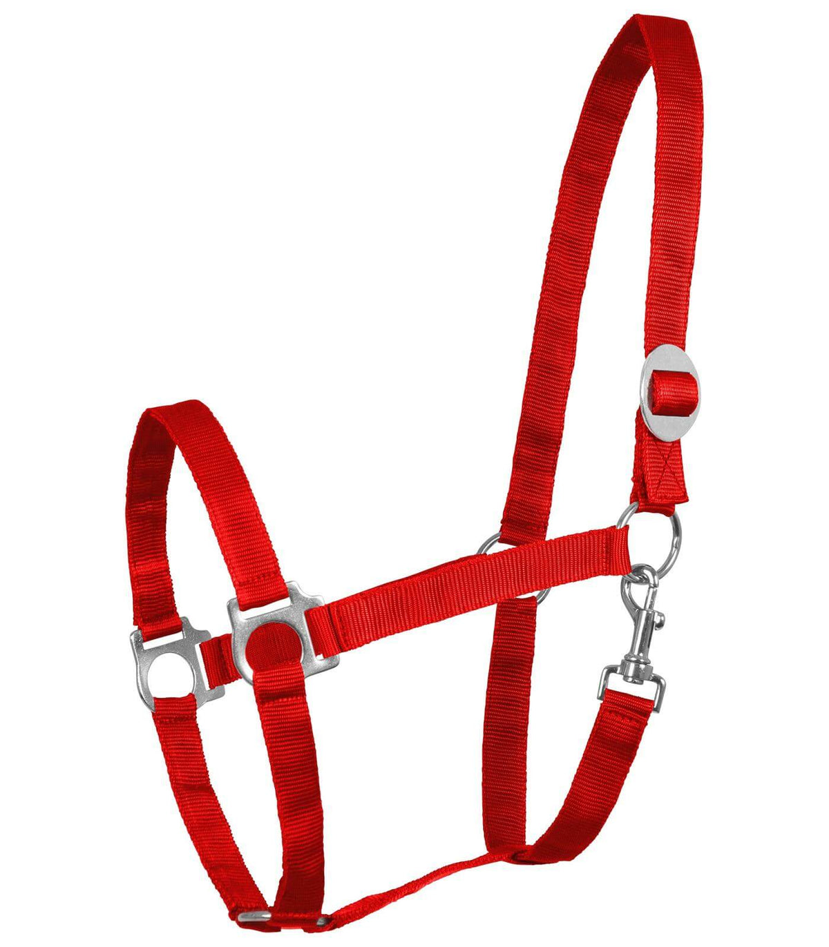 Rot
